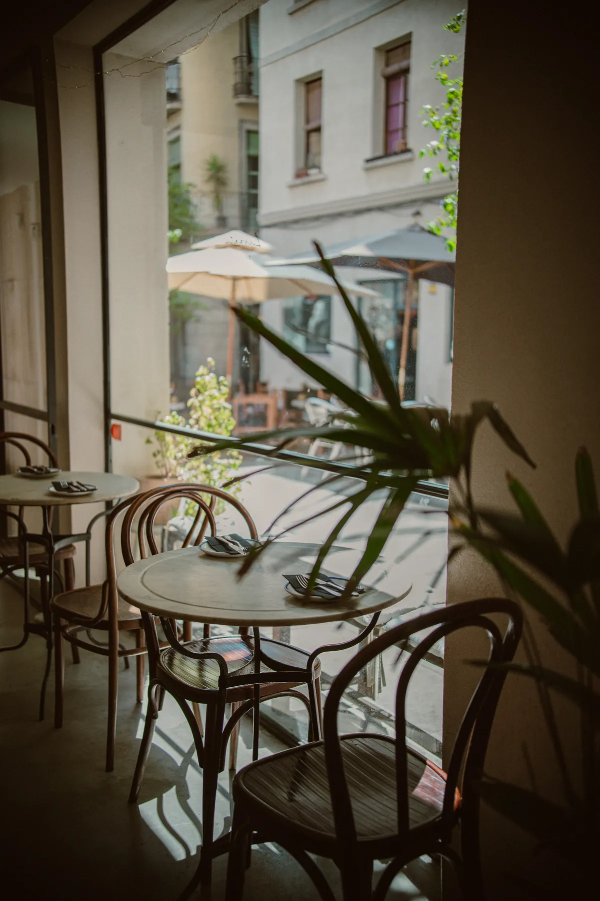 Interior del bistrot amb cadires de fusta corbada